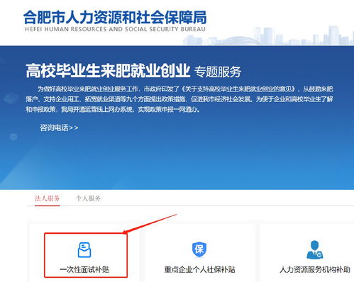 高校畢業生來合肥一次性面試補貼申請指南及職業中介活動解析