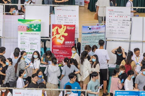 高校畢業生人數創歷史新高，河南明確實現“動態清零”目標